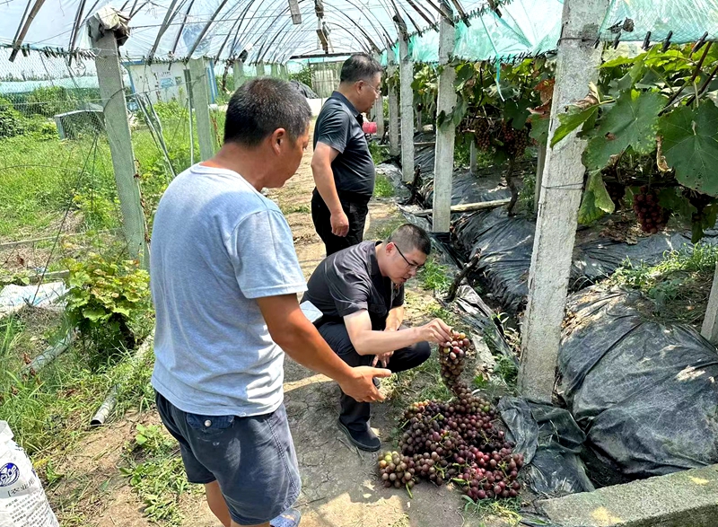 261695695661749900.jpg 微信圖片_20230922153059.jpg