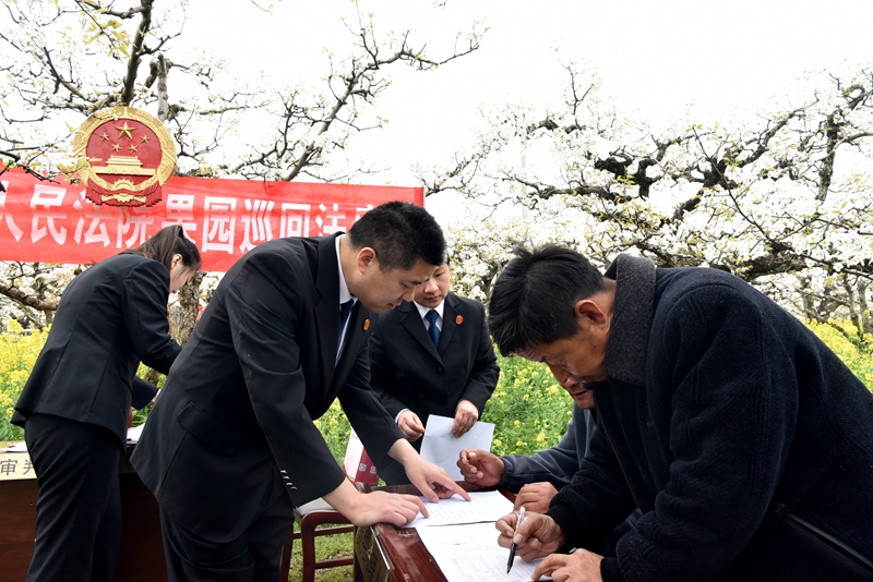 251714012333922568.jpg ③農藥貨款糾紛案雙方當事人簽訂調解協議。.JPG