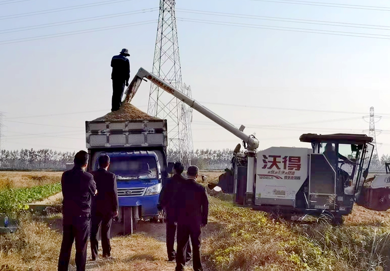 081731040645520992.jpg 1.jpg