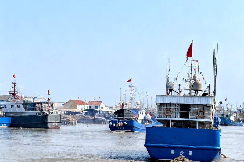 191758264233752029.jpg 5.jpg